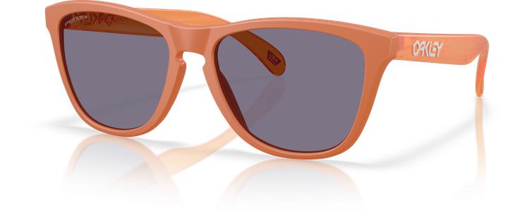 Produktbild Oakley Frogskins