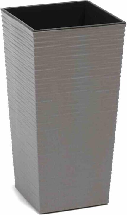 Actual product image Siena Garden ECO Nizza (25 cm)