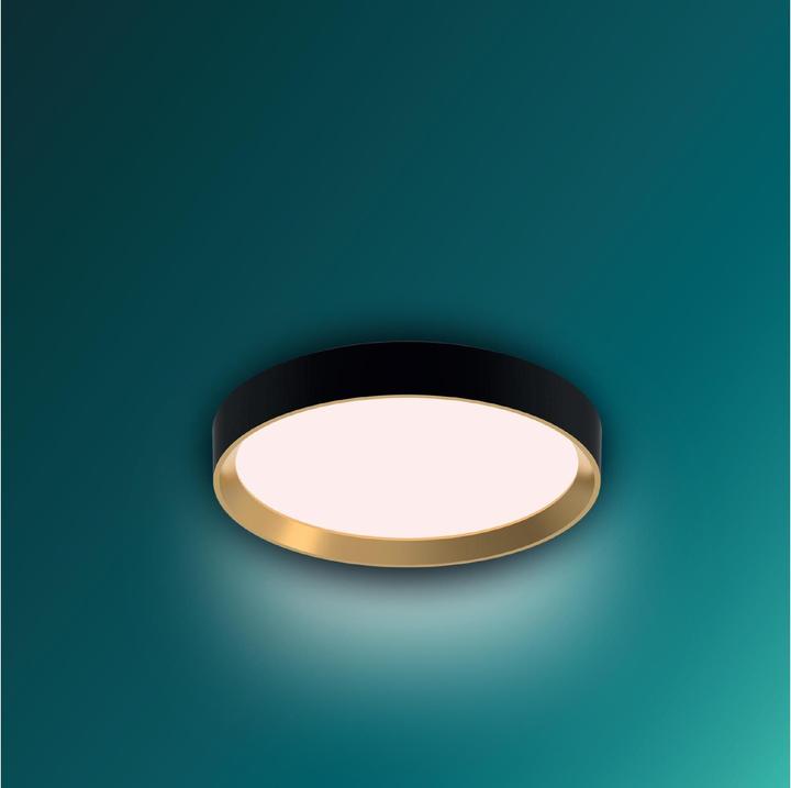 Produktbild Philips Hanno (2700 lm)