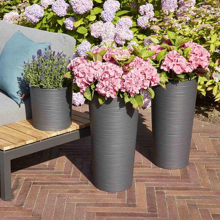 Actual product image Siena Garden Modern (30 cm)
