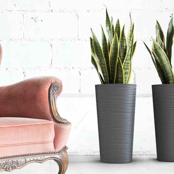 Actual product image Siena Garden Modern (25 cm)
