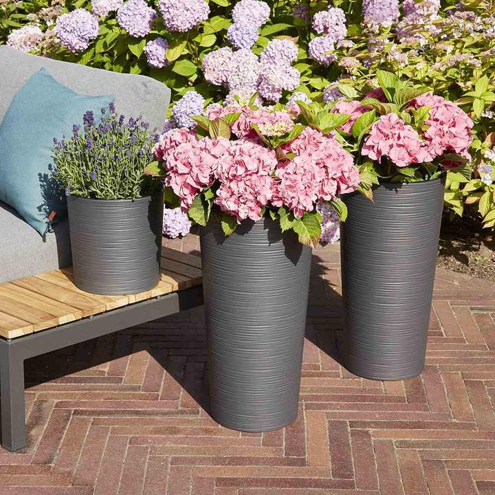 Actual product image Siena Garden Modern (25 cm)