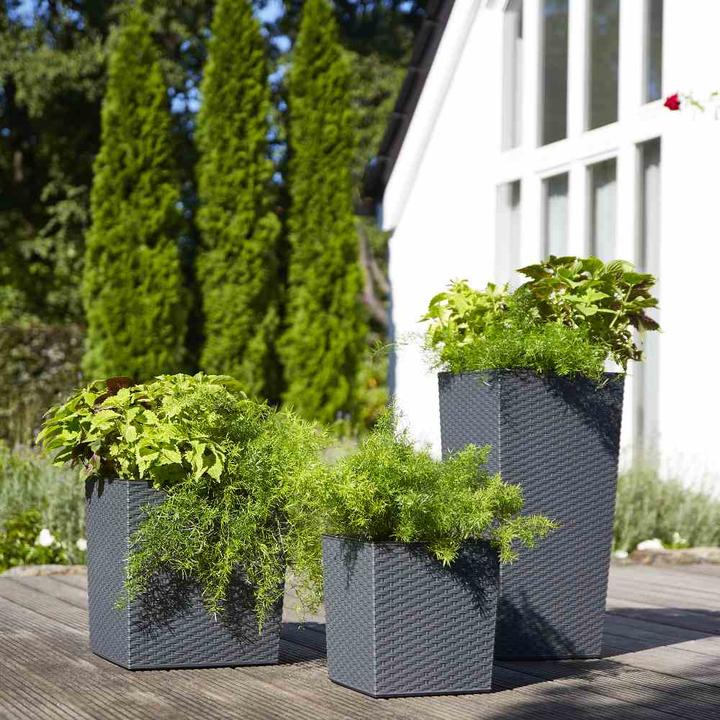 Image du produit Siena Garden Modern (30 cm)