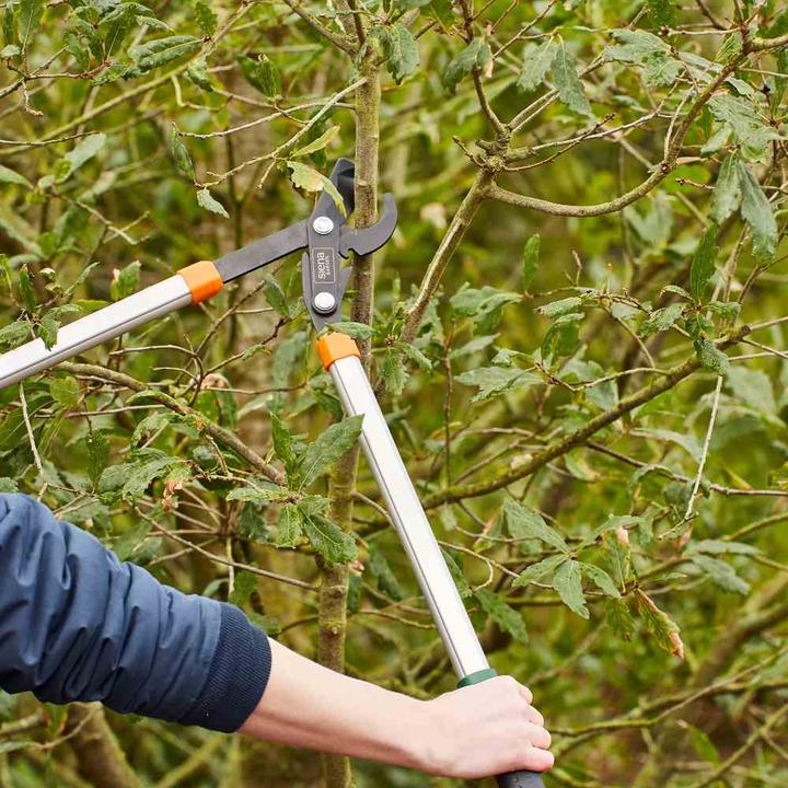 Actual product image Siena Garden Pruning shears