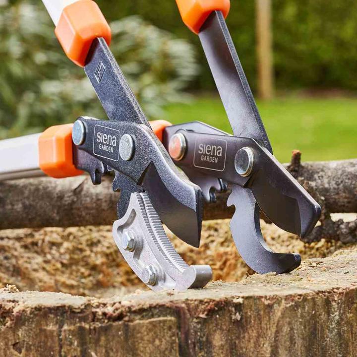 Actual product image Siena Garden Pruning shears