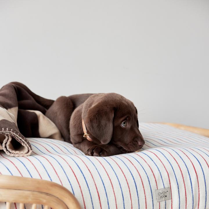 Immagine prodotto OYOY Zoo ZOO - Letto per cani Otto - Piccolo (Z60074) (Cane)