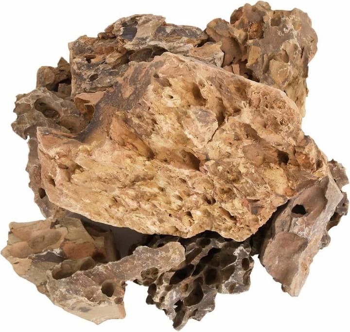 vidaXL Drachenstein (Dekoration, sonstige Gegenstände)