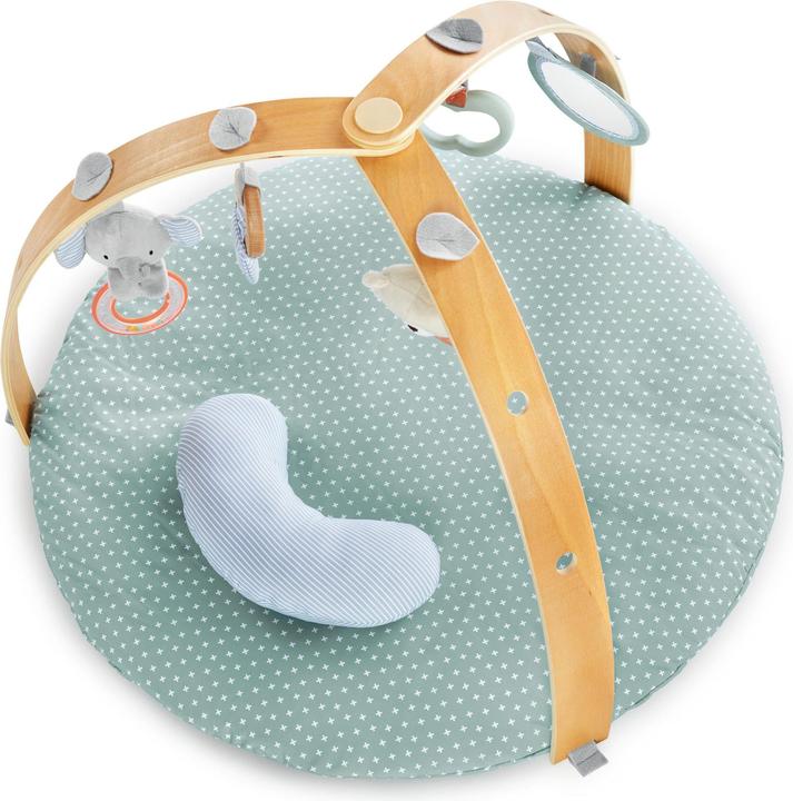 Actual product image Ingenuity Reversible duvet activity gym