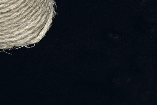 Image du produit Beeztees Bz Arbre à Chat Gina XL Noir 4 (90 cm, Noir)