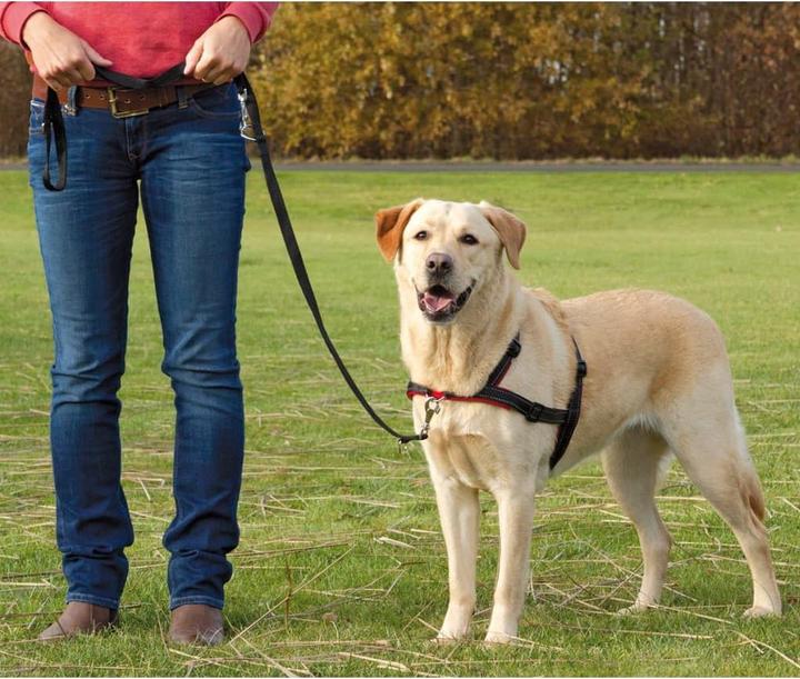Actual product image Trixie Lead n Walk training harness L-XL (L, XL, Dog, General)
