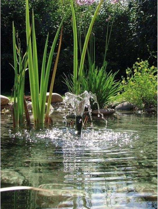 Produktbild Pontec Springbrunnenpumpe mit Skimmer
