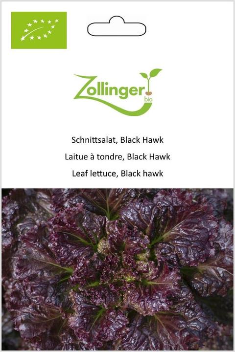 Image du produit Zollinger Bio Laitue à tondre, Black Hawk