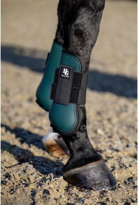 Immagine prodotto Horse Guard Thyme Spring (Mini)