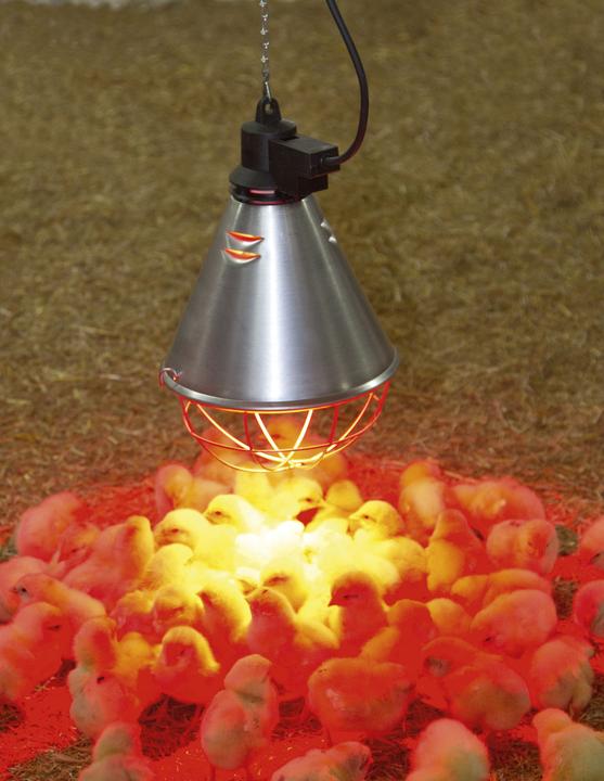 Produktbild Kerbl Infrarot-Wärmestrahler 5,0mtr.