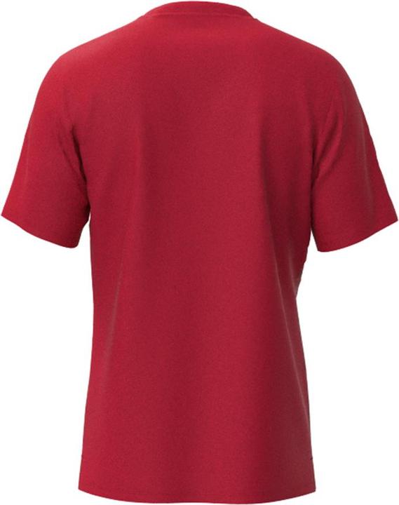 Actual product image Mizuno Chiba Tee M (XL)