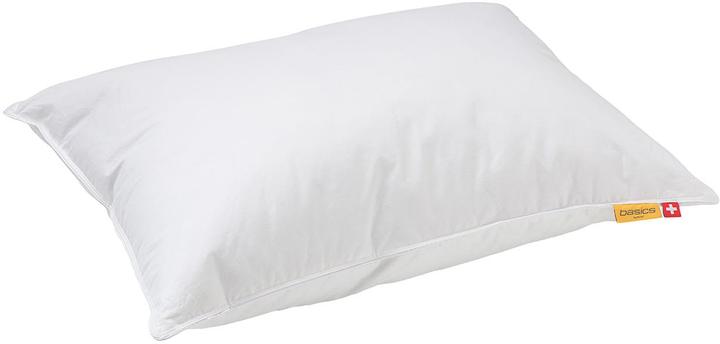 Immagine prodotto bico Primaloft Bio (50 x 70 cm)