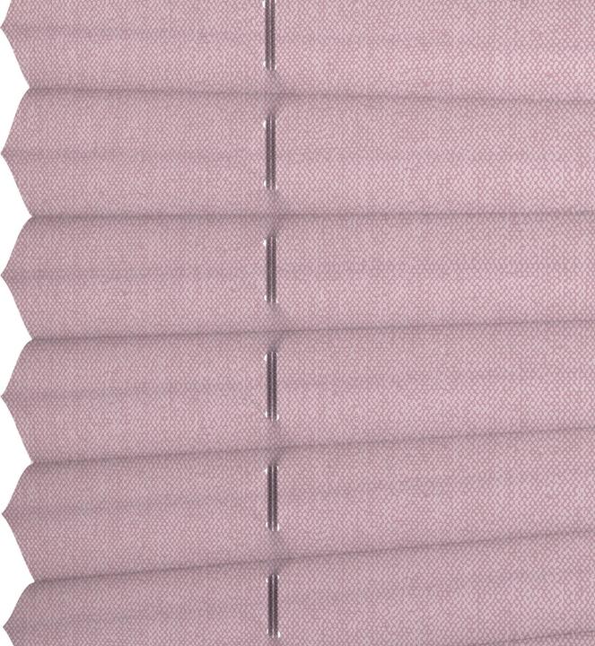 Produktbild Wohnidee Kollektion Plissee mit 2 Bedienschienen (70 x 130 cm)