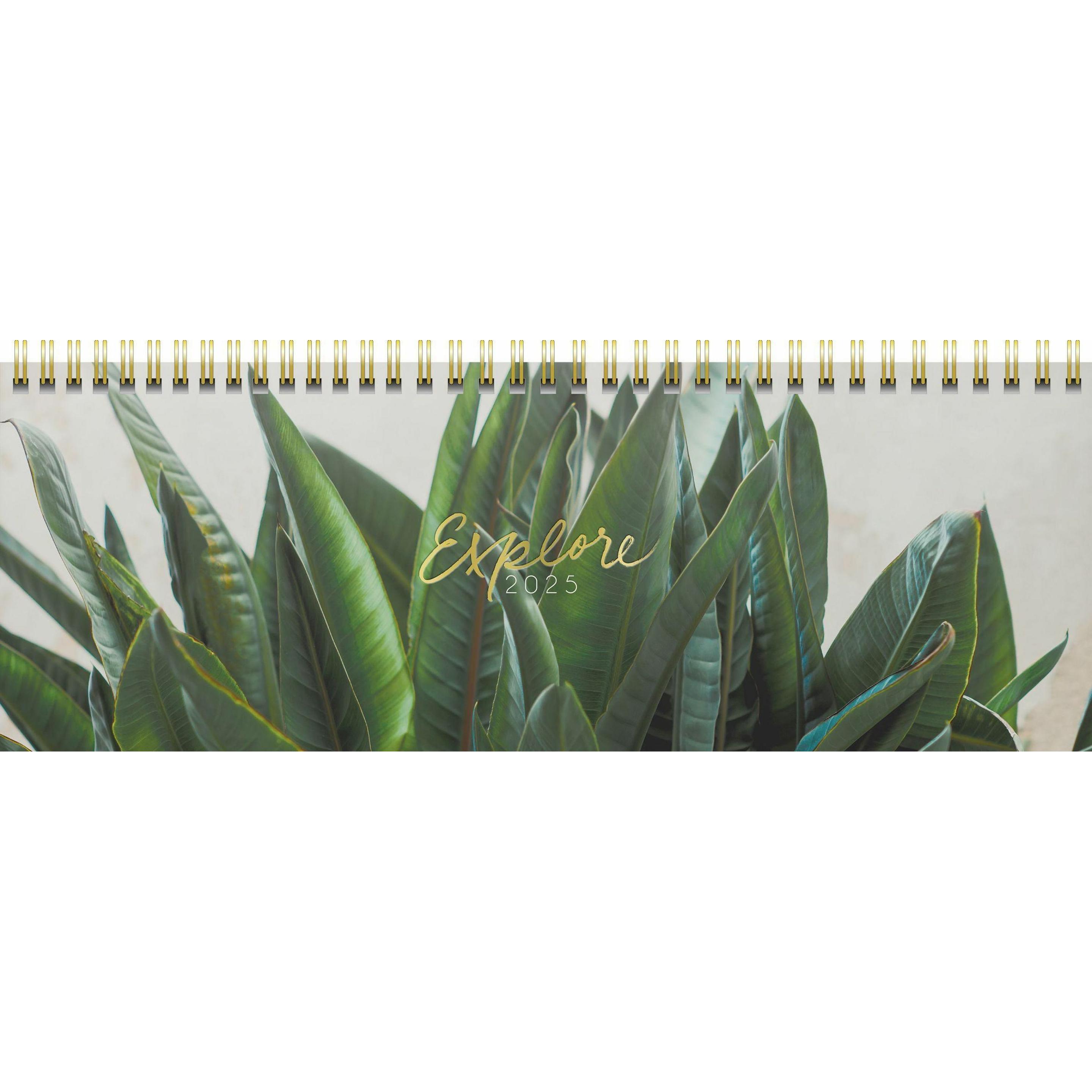 Ridoide, Agenda, Pultkalender Design Line 2025 631102525 1W/2S Explore DE 29.7x10.5cm (307 x 105 mm, Deutsch)