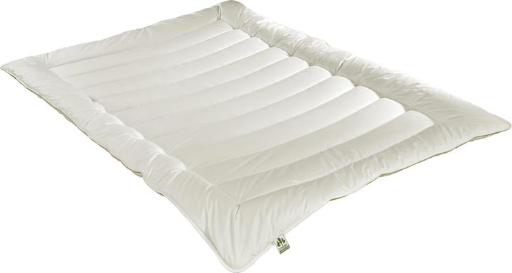 Produktbild Irisette Greenline Greenline Aerelle Blue Faser Mono (1000 g, 155 x 220 cm)