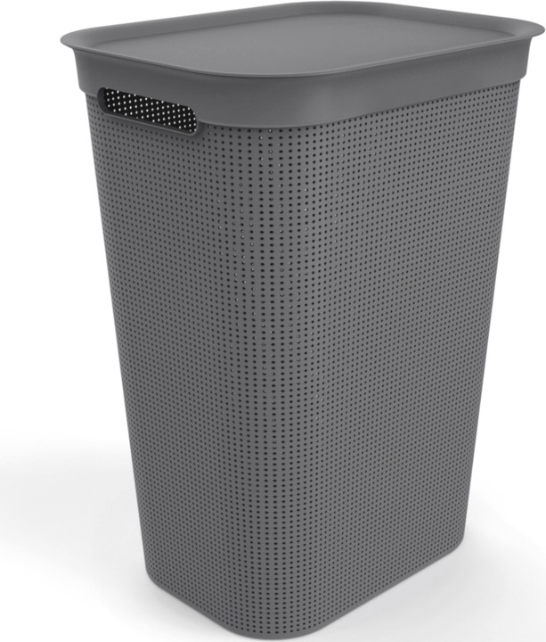 Immagine prodotto Rotho Breezes 1 (50 l)