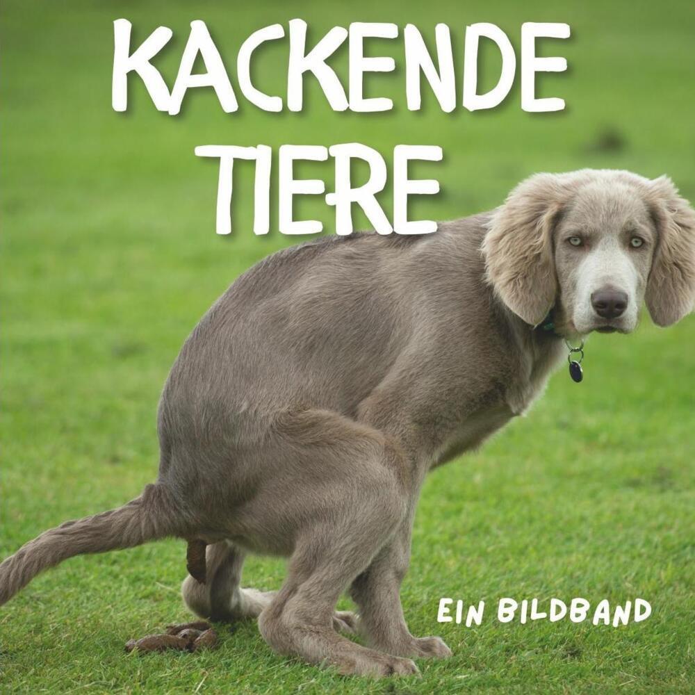 Fröhlich:Tiere beim Kacken, Belletristik von Tim Fröhlich