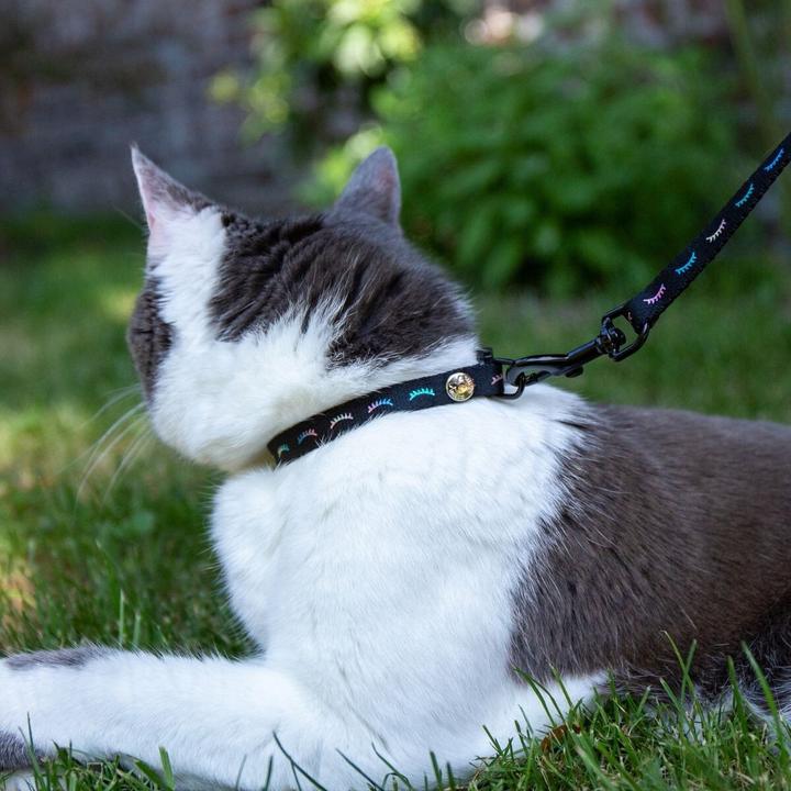 Image du produit Martin Sellier Dodo (30, Chat, Promenade)