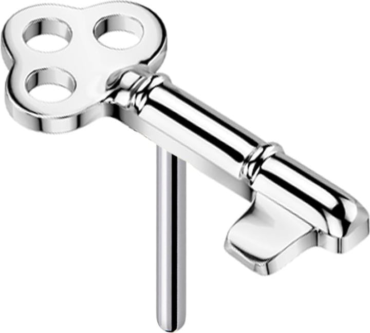 Image du produit Star Piercing Threadless Schlüssel silber (Titane G23, sans laiton)