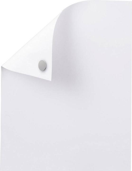 Produktbild Maul Haftmagnet Neodym (20x)