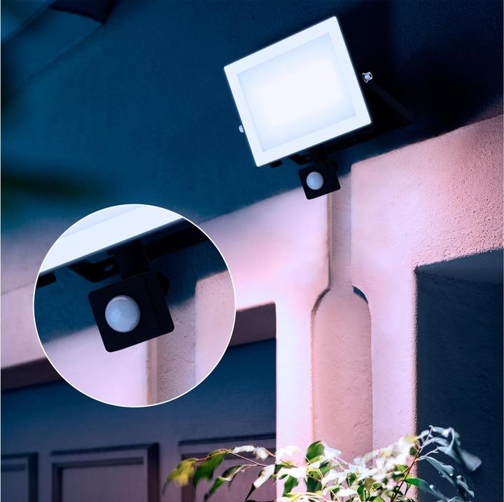 Actual product image Philips Outdoor Flutlicht Lois (4750 lm, IP65)