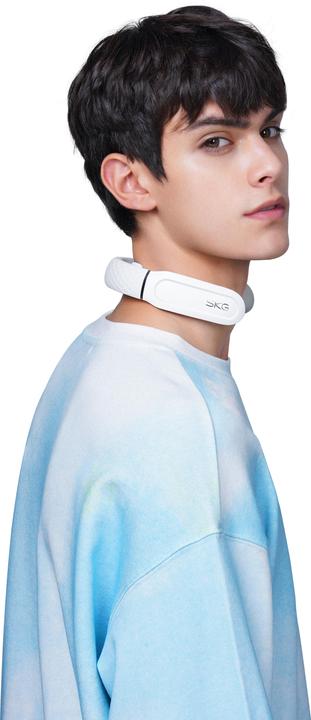 Actual product image SKG Neck massager
