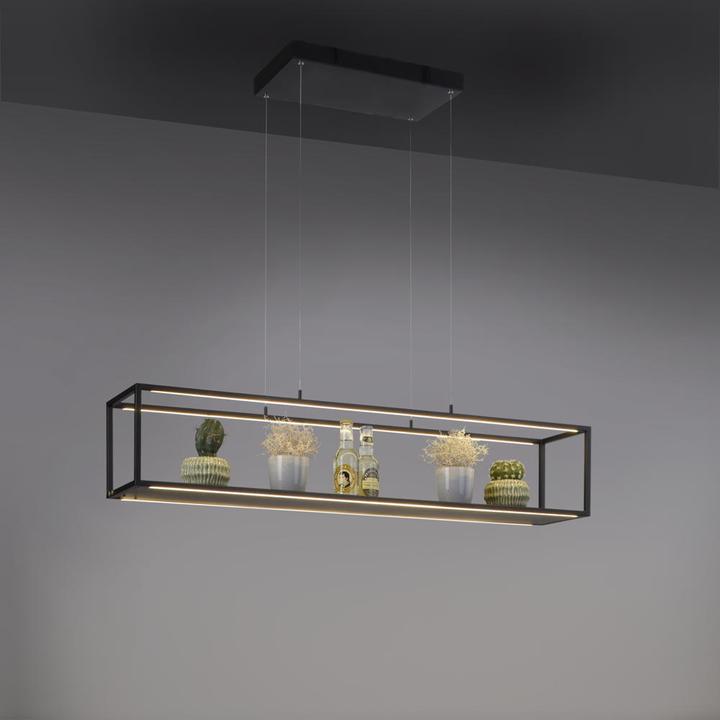 Image du produit Paul Neuhaus Contura (212.50 lm)