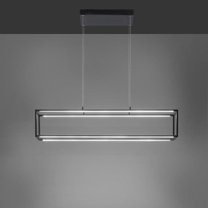 Image du produit Paul Neuhaus Contura (212.50 lm)