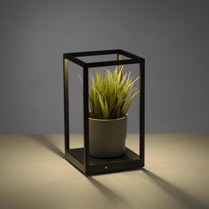 Produktbild Paul Neuhaus Contura (140 lm)
