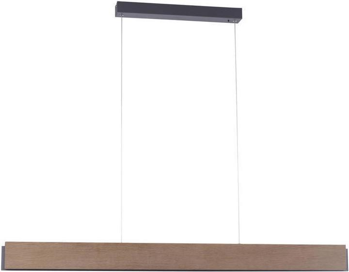 Immagine prodotto Paul Neuhaus Palma (2000 lm)