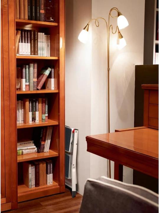 Actual product image Hailo MK60 StandardLine, steel stepladder, 2 steps (Stepladder, 50 cm)