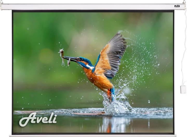 Aveli Elektrické projekční plátno, 488x366 (4:3) 240"