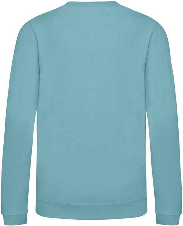 Actual product image Awdis UTRW3485 P (104)