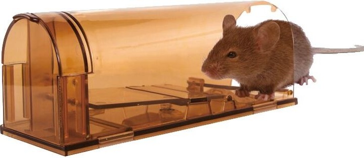 Actual product image Knock Off Live mousetrap