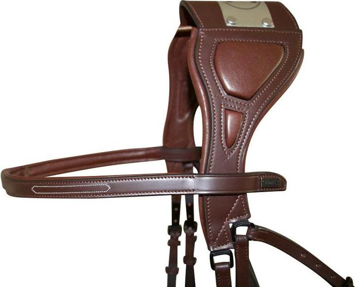 Produktbild TdeT Chagall