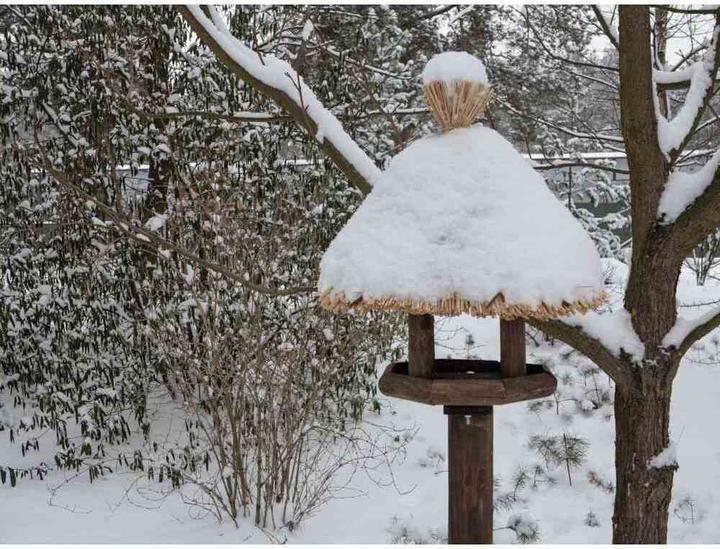 Actual product image Siena Garden Birdhouse
