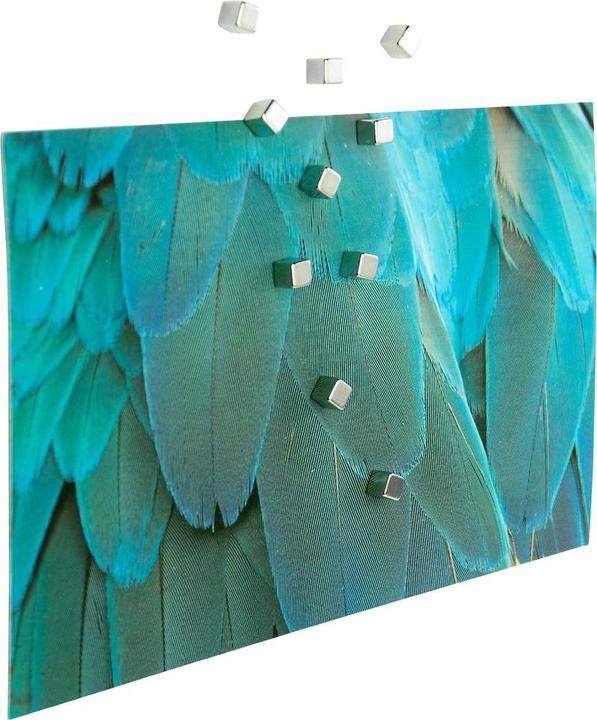 Immagine prodotto Trendform Kubiq (10 x)