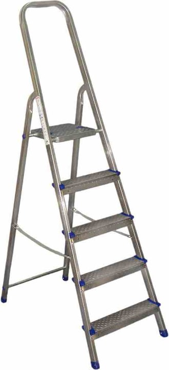 Actual product image Alpfa Budget Manager (Multi-purpose ladder, 168 cm)