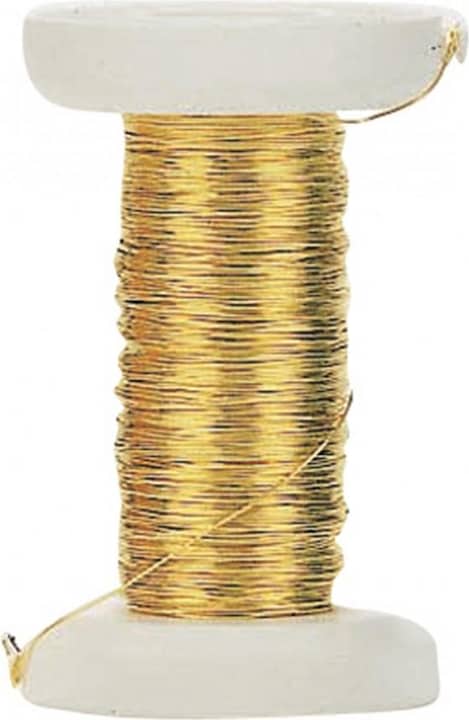 Produktbild hobbytime Golddraht 0,25 mm 35m (35 m)