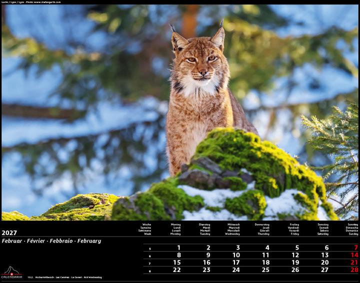 Actual product image Swiss Animals 2027