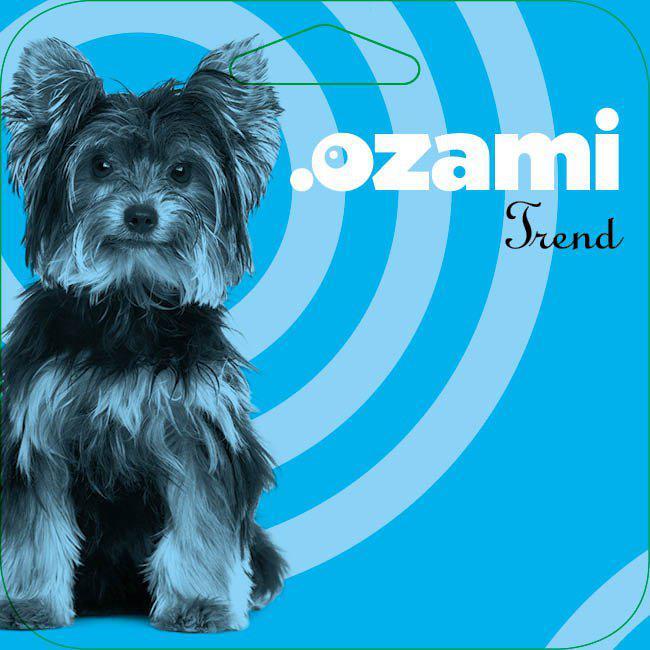 Actual product image Ozami Small Long Coat Coarse 25 Teeth - (641.1160) (Dog)