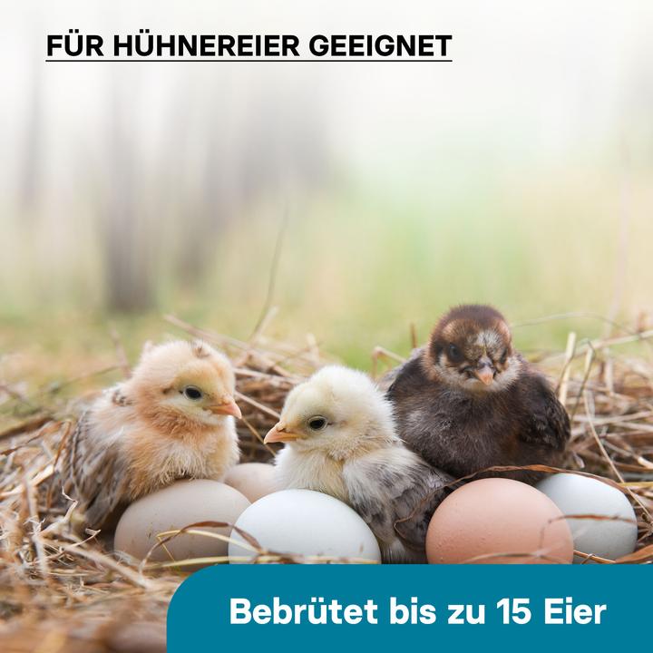 Actual product image Wiltec Brutmaschine