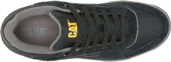 Produktbild Cat Theorem (41)