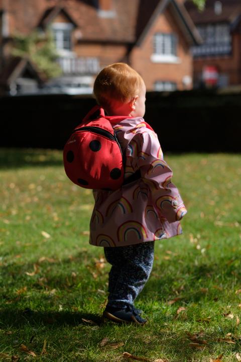 Actual product image Littlelife Toddler Backpack