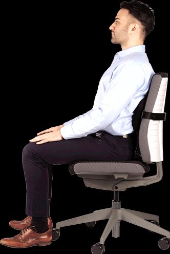 Produktbild Fellowes Rückenstütze Plush Touch