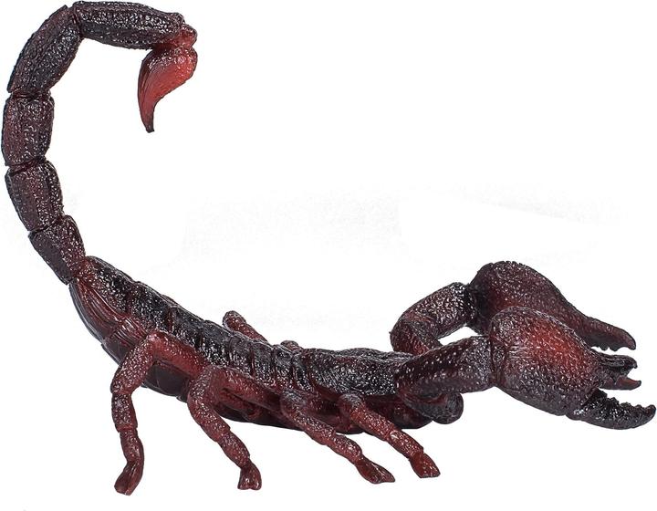 Image du produit small foot Scorpion impérial